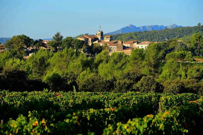 Guided tour of a winery in Vacquières with wine tasting - Arriving at Château de Lascaux in Vacquières
