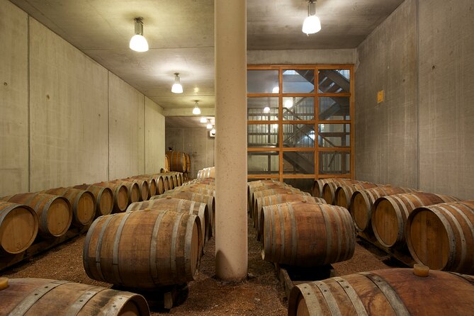 Guided tour of a winery in Vacquières with wine tasting - Is $13.30 a fair price?