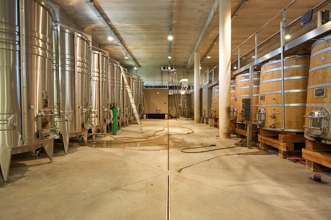 Guided tour of a winery in Vacquières with wine tasting - Group size, timing, and practical fit