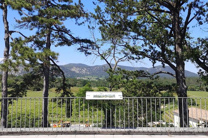 Guided tour of a winery in Vacquières with wine tasting - A few cautions before you reserve