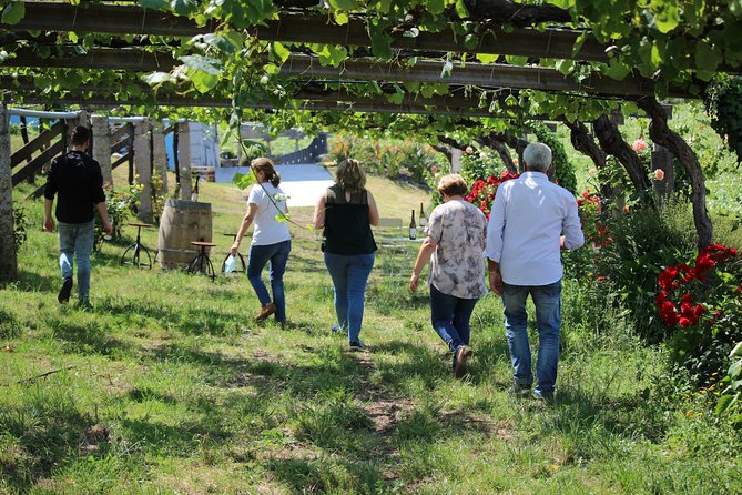 Guided tour of Bodegas Granbazán - Key points to know before booking