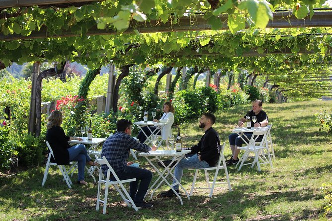 Guided tour of Bodegas Granbazán - Why the guide matters here
