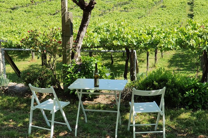 Guided tour of Bodegas Granbazán - Booking advice and cancellation