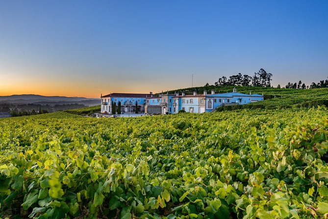 Guided tour of Bodegas Granbazán - Seeing the barrel room and reserve areas