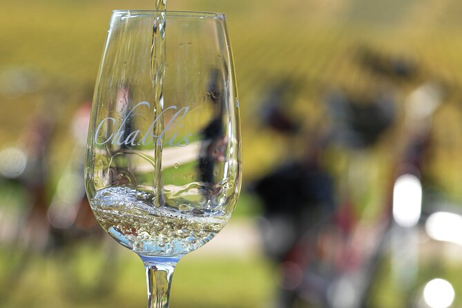 Guided tour of the Chablis Vineyards by e-bike - Key points to know before you book