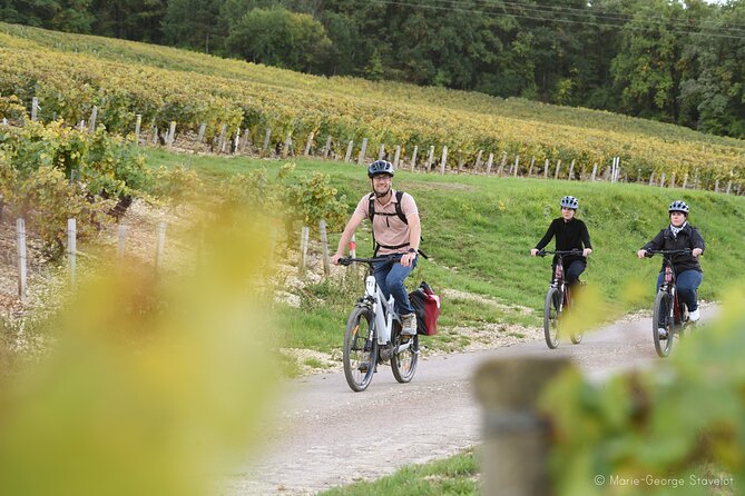 Guided tour of the Chablis Vineyards by e-bike - From vat room to cellar and bottling
