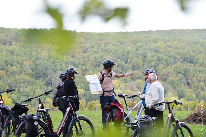 Guided tour of the Chablis Vineyards by e-bike - Tasting five to six Chablis wines