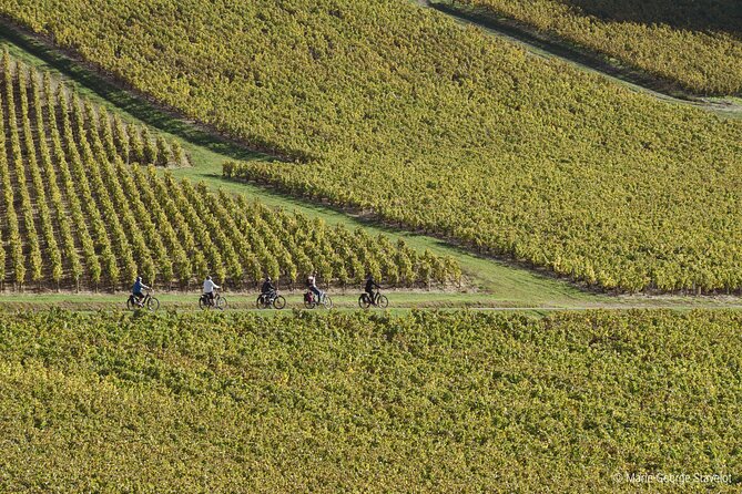 Guided tour of the Chablis Vineyards by e-bike - Who will enjoy this outing most