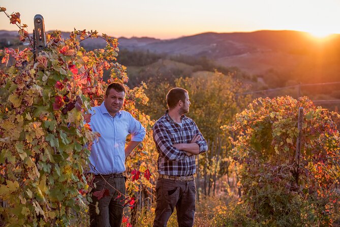 Guided tour of vineyards and winery with tasting 4 wines - Key points at a glance