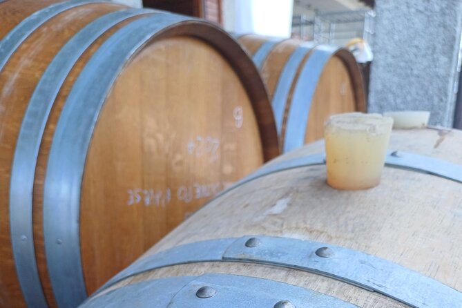 Guided tour of vineyards and winery with tasting 4 wines - Four wines and a proper introduction to tasting