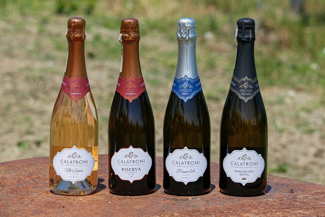 Guided tour of vineyards and winery with tasting 4 wines - What the tasting style is like