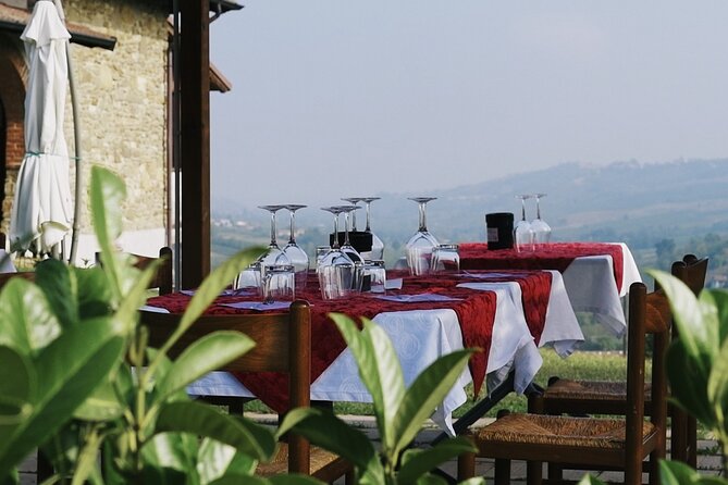 Guided tour of vineyards and winery with tasting 4 wines - Is $22.86 a good value?