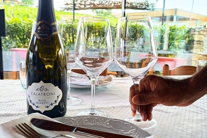 Guided tour of vineyards and winery with tasting 4 wines - Who should book this experience?
