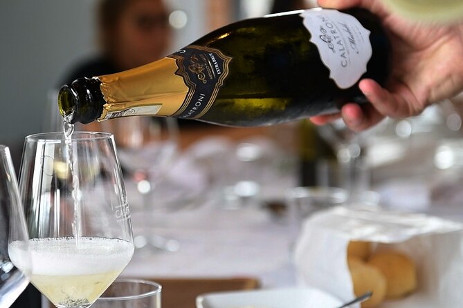 Guided tour of vineyards and winery with tasting 4 wines - Practical details before you go