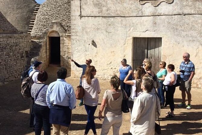Guided tour through the vineyards with local wine tasting - What happens during the 90-minute visit