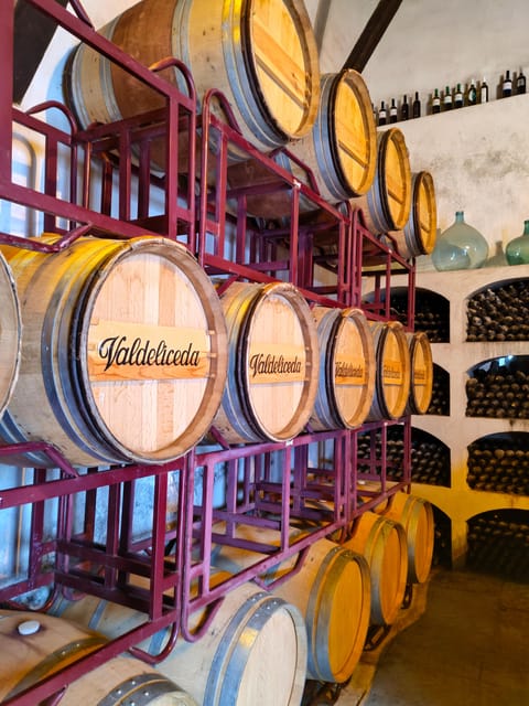 GUIDED VISIT TO BODEGA DEL NERO WINERY - Key points to know before booking