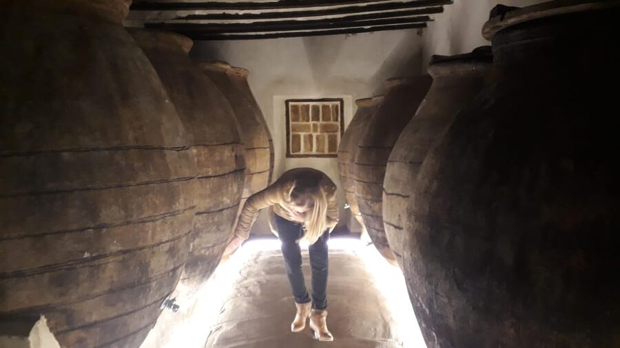 GUIDED VISIT TO BODEGA DEL NERO WINERY - Entering a winery with five generations of family tradition