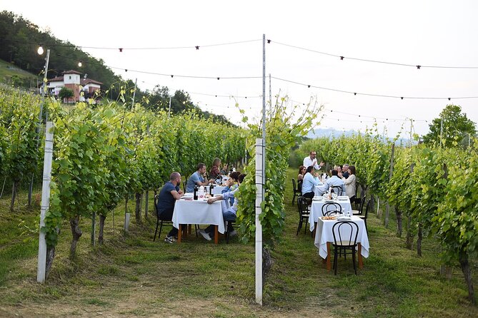 Guided Walk and Lunch in the Vineyard in Alba - Key points to know before booking