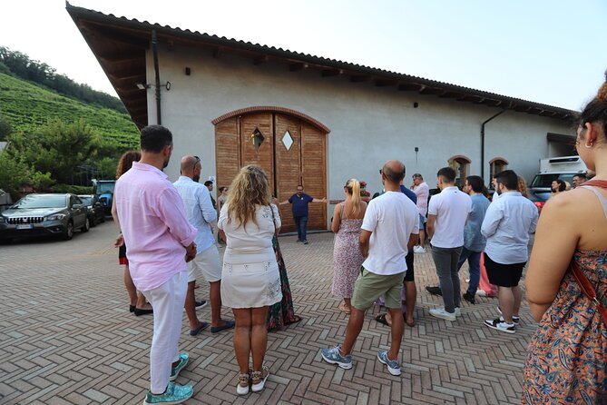 Guided Walk and Lunch in the Vineyard in Alba - Is $102.21 a fair price?