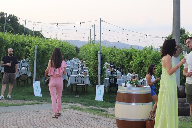 Guided Walk and Lunch in the Vineyard in Alba - Who will enjoy this day most?