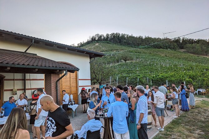 Guided Walk and Lunch in the Vineyard in Alba - Five wines before the Langhe meal