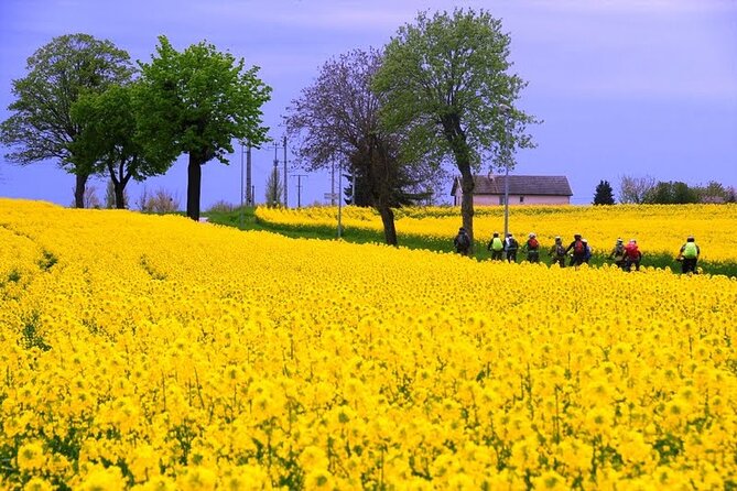 Guided week Bike Tour in France, Burgundy wine region - The Côte de Nuits and the road back to Dijon