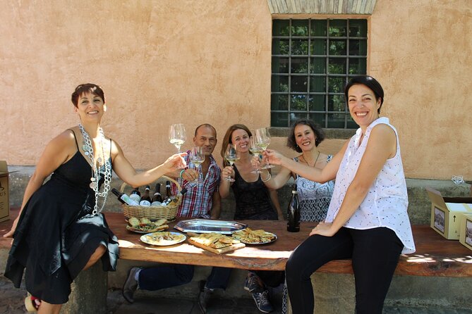 Guided Wine Tasting Experience in a Roman Vineyard - A social visit, not a silent tasting