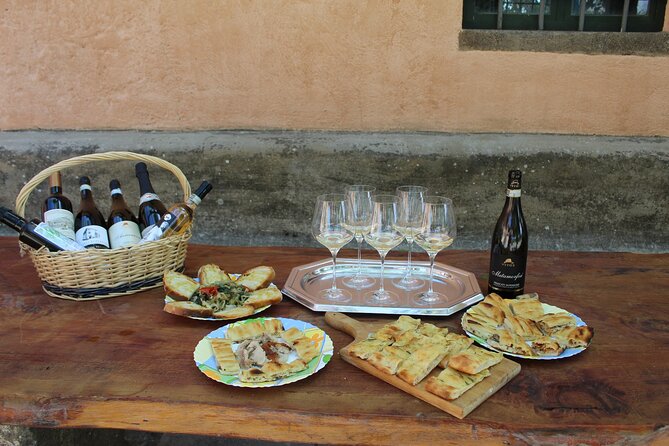 Guided Wine Tasting Experience in a Roman Vineyard - Timing, cancellations, and practical planning