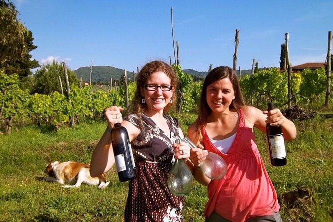 Guided Wine Tasting Experience in a Roman Vineyard - A rustic farmhouse with a view toward Rome