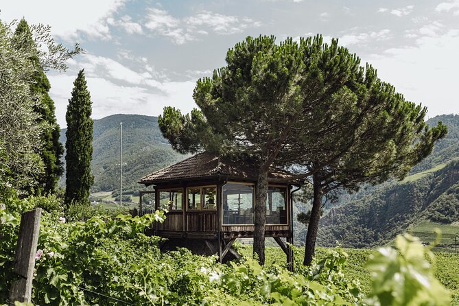 Guided winery tour with tasting in Bolzano at the SKYWINE PAVILLON - Why this Bolzano winery visit feels different