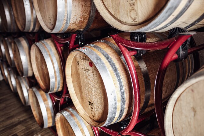 Guided winery tour with tasting in Bolzano at the SKYWINE PAVILLON - The family touch, from wine advice to dinner plans