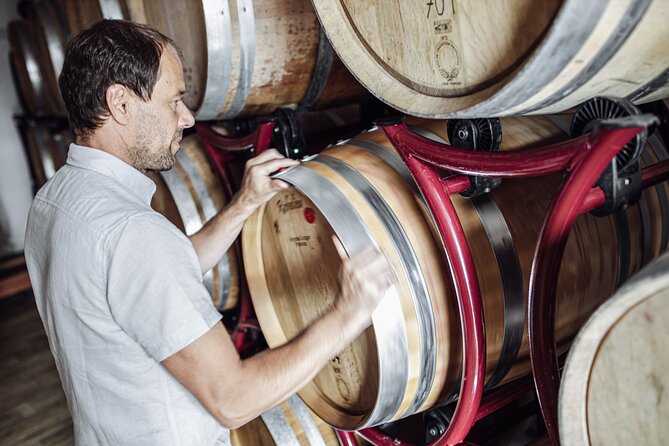 Guided winery tour with tasting in Bolzano at the SKYWINE PAVILLON - Price, value, and what the 90 minutes include