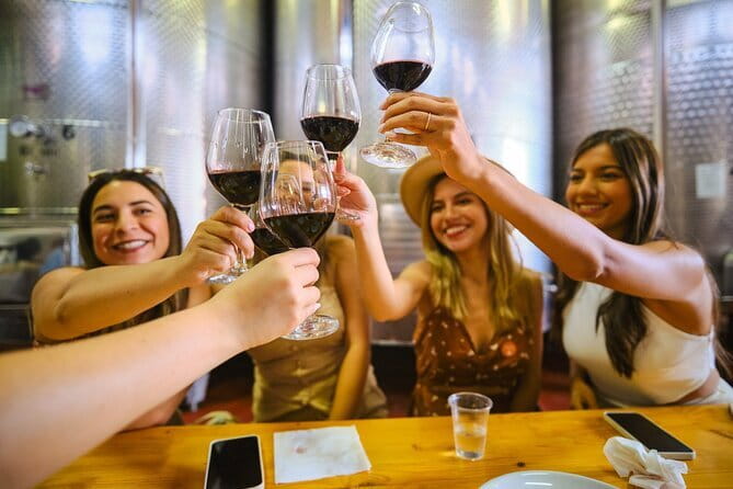Half day Chianti Vineyard Escape from Florence with Wine Tastings - How the group size changes the experience