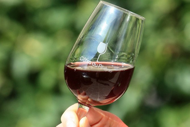 Half Day Great Vineyard Tour from Avignon - What the tasting visits are like