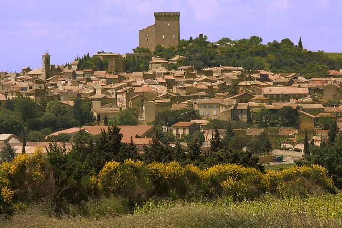 Half Day Great Vineyard Tour from Avignon - Small group size and guide quality