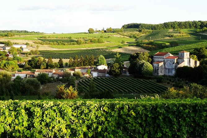 Half-day Guided E-Bike Ride to Discover The Cognac Vineyard - Key points to know before booking