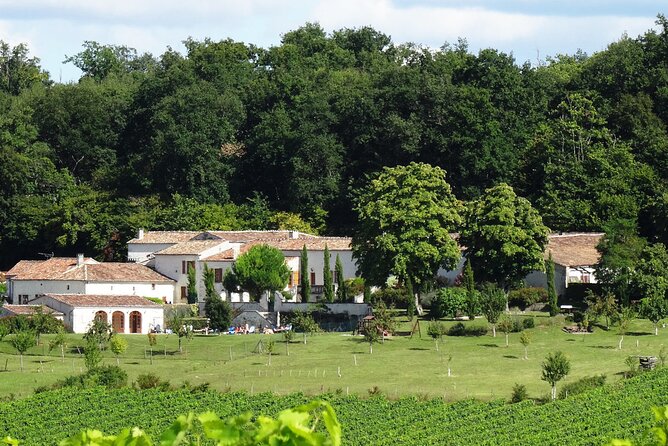Half-day Guided E-Bike Ride to Discover The Cognac Vineyard - Bouteville and its Romanesque church
