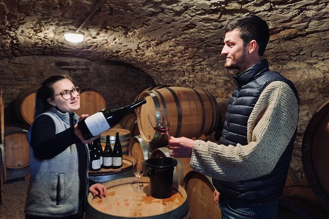 Half-day guided tour on the Burgundy wine Route in a classic car - The best match for this Burgundy tour