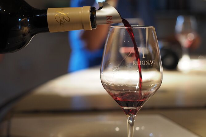 Half-Day Guided Wine Tasting Tour in Bordeaux Vineyards - Meeting at the Monument aux Girondins at 1:45 pm