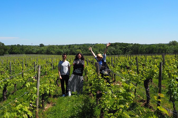 Half-Day Guided Wine Tasting Tour in Bordeaux Vineyards - Should you book the Bordeaux wine tour?