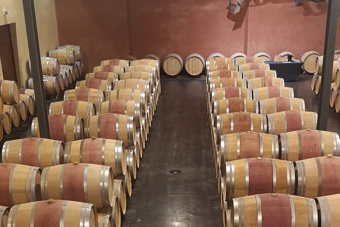 Half-day in the Médoc : 2 wineries & 6 wines - Why this Médoc tour works well in four hours