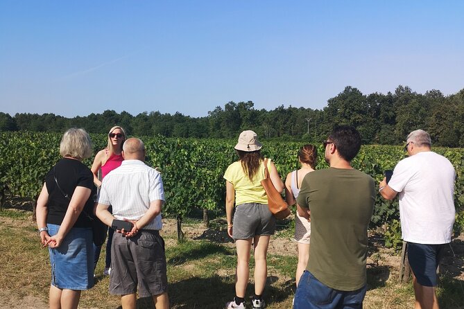 Half-day in the Médoc : 2 wineries & 6 wines - Ludon-Médoc, your first look at Cru Bourgeois wine
