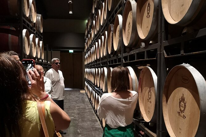 Half-day in the Médoc : 2 wineries & 6 wines - A small minivan keeps the outing personal