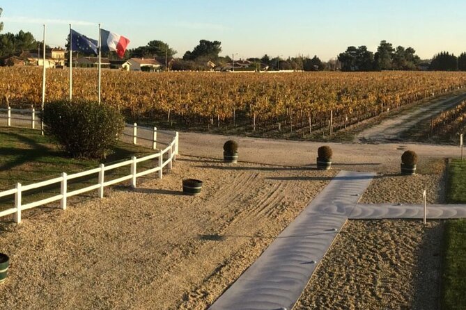 Half-day in the Médoc : 2 wineries & 6 wines - Who should book this Médoc outing?