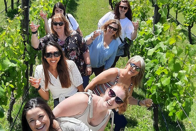 Half Day Martinborough Winery Tour from Wellington - C’est Cheese, when the clock allows