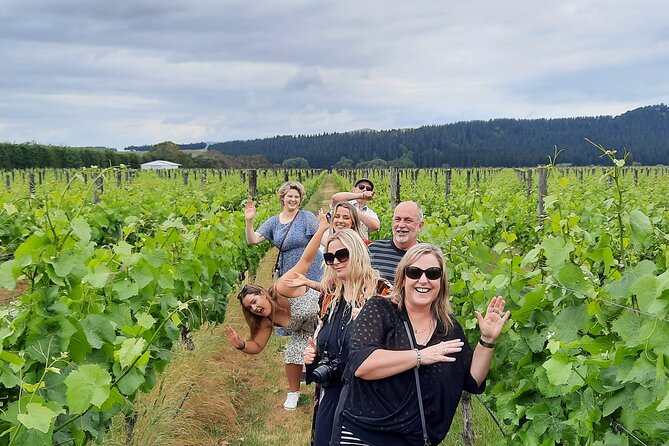 Half Day Martinborough Winery Tour from Wellington - Why the guide matters so much