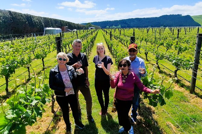 Half Day Martinborough Winery Tour from Wellington - Comfort, timing, and who will enjoy it