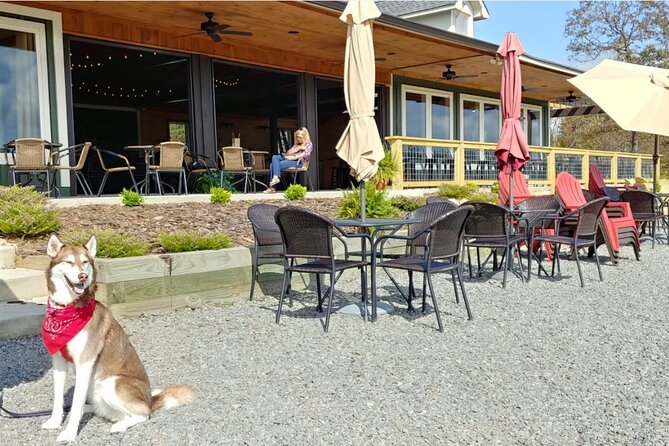 Half-Day North Georgia Wine Country Tour From Atlanta - The guide can shape the whole afternoon