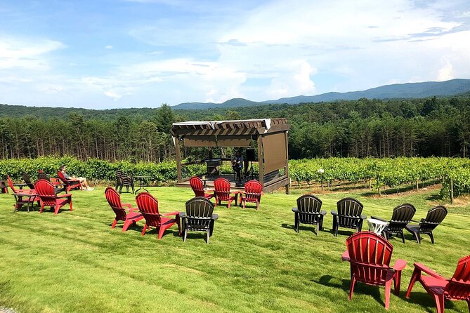Half-Day North Georgia Wine Country Tour From Atlanta - A party bus or a quiet wine outing?