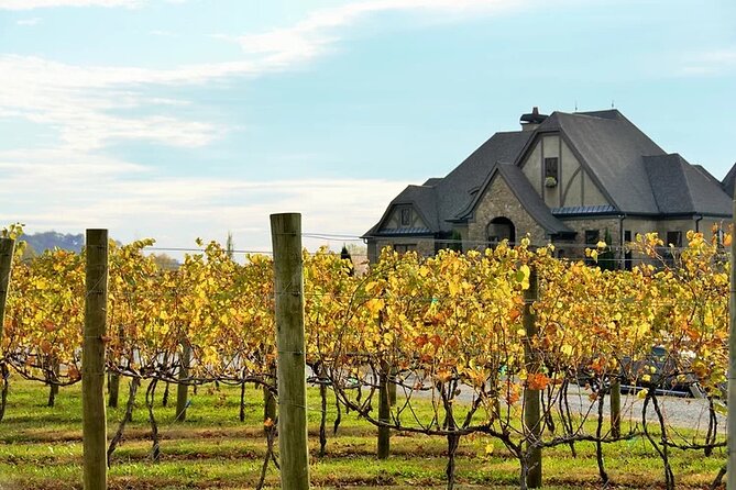 Half-Day North Georgia Wine Country Tour From Atlanta - Ott Farms and Vineyard brings the mountain views